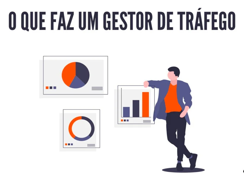 gestor de trafego
